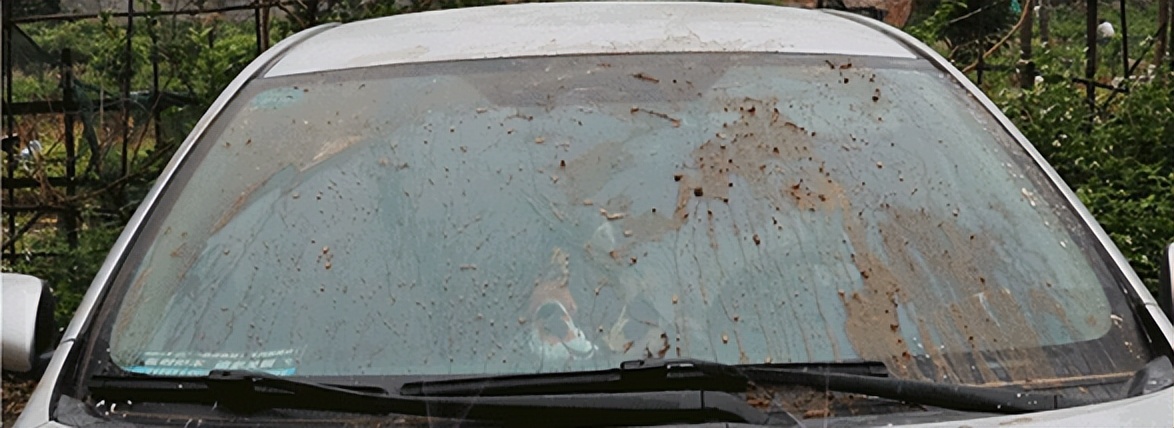 当之无愧指标,雨刷精排行榜测评