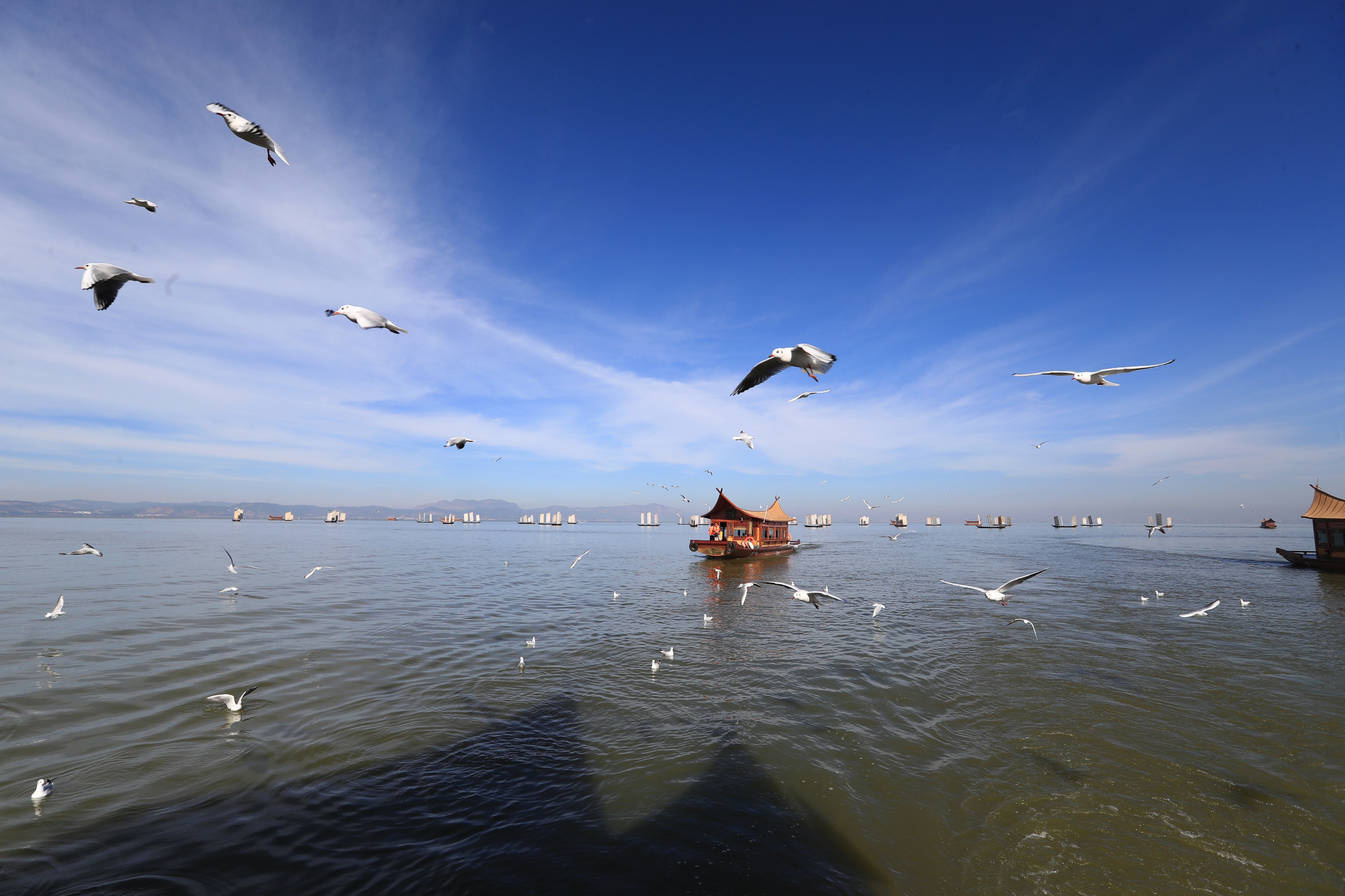 昆明周边游玩景点推荐一日游免票,昆明世博园2022年免费开放时间