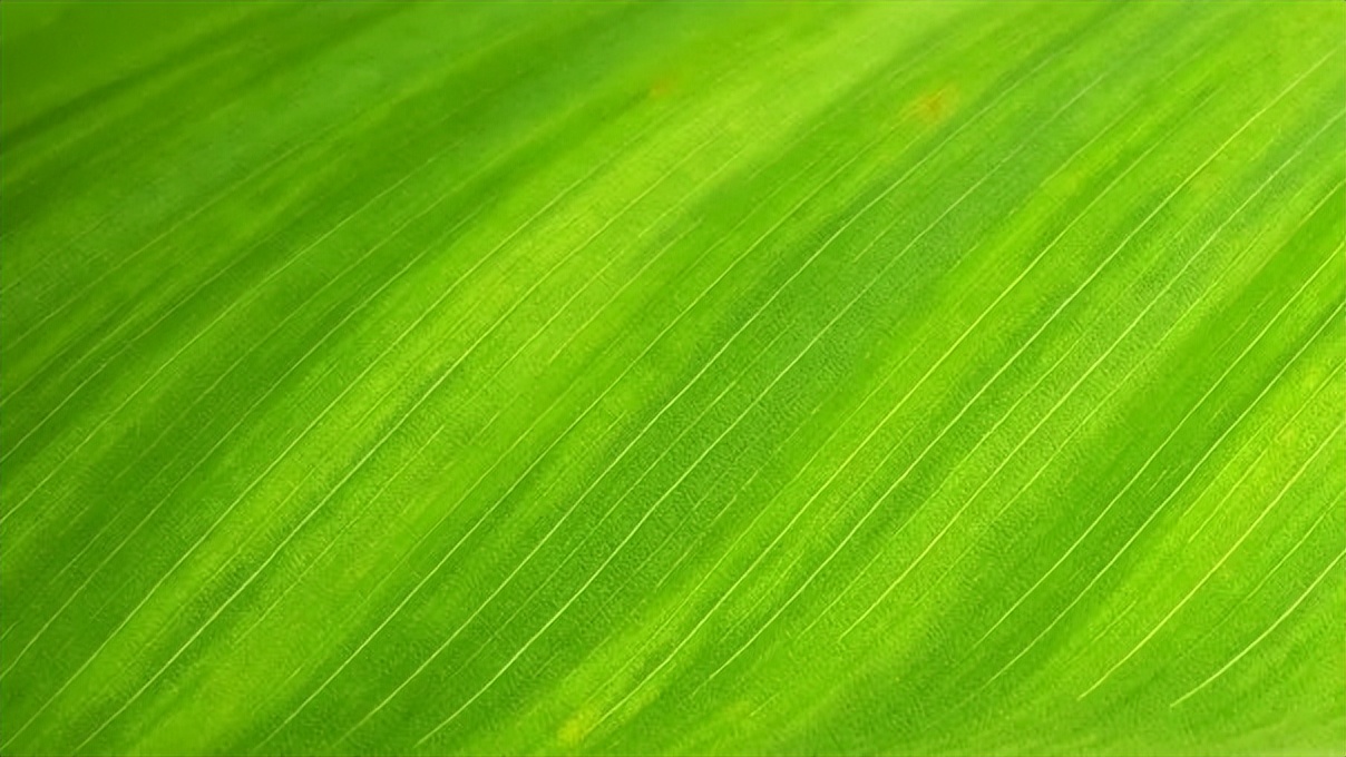 全国爱眼日如何预防近视内容,预防青少年儿童近视眼十大方法