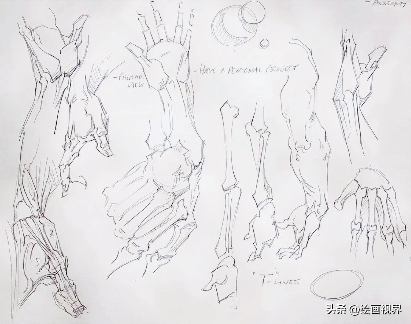 学不会人体画法怎么办,初学者不会画素描