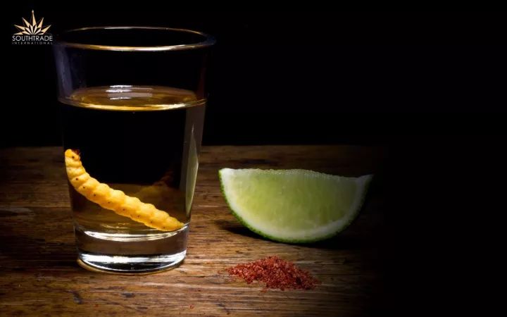 西班牙和墨西哥是一个国家吗,墨西哥是一个怎么样的国家