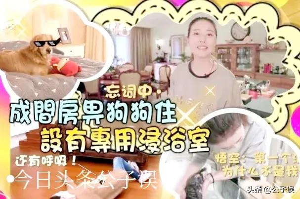 周海媚早年跟吕良伟结过一次婚,周海媚吕良伟道别视频