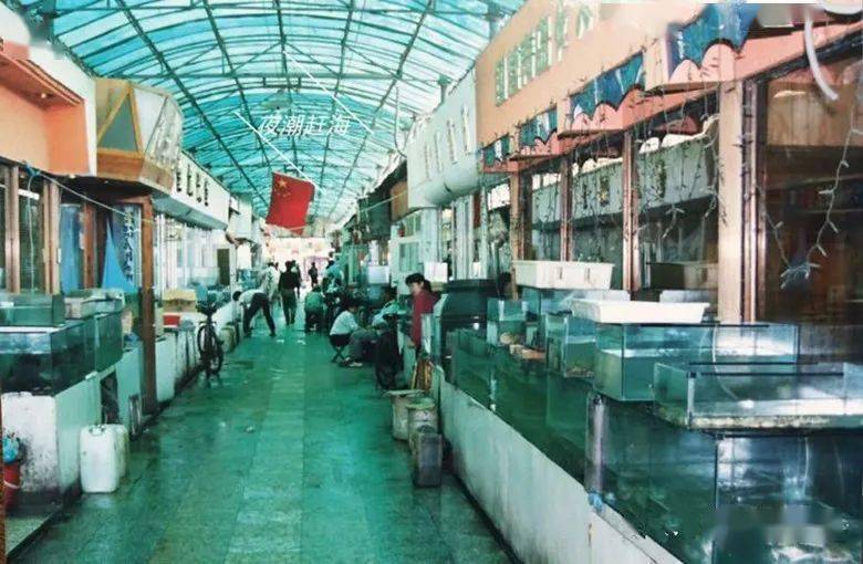 文登路——青岛人最美好的记忆