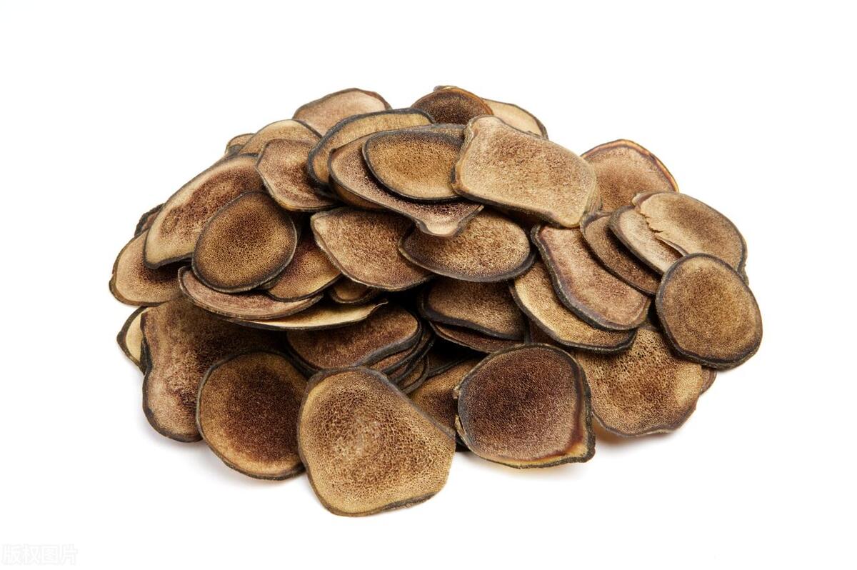 鹿茸补阳药,鹿茸补肾健脾补品