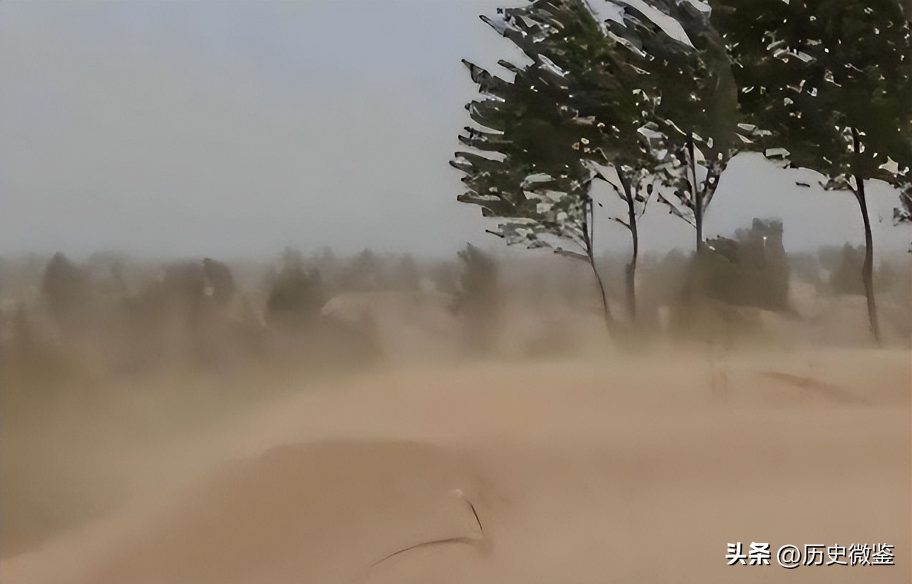 19岁女孩被迫嫁到荒漠,19岁女孩被迫嫁到荒漠下集