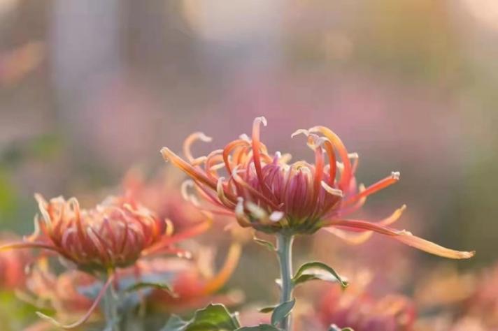 不喜欢各种饭局,吃饭从来不主动请客的人