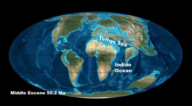 地理长江识图题,长江地理讲解视频
