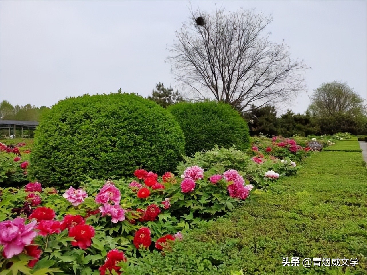 兔年春诗句,兔年迎新春古诗词