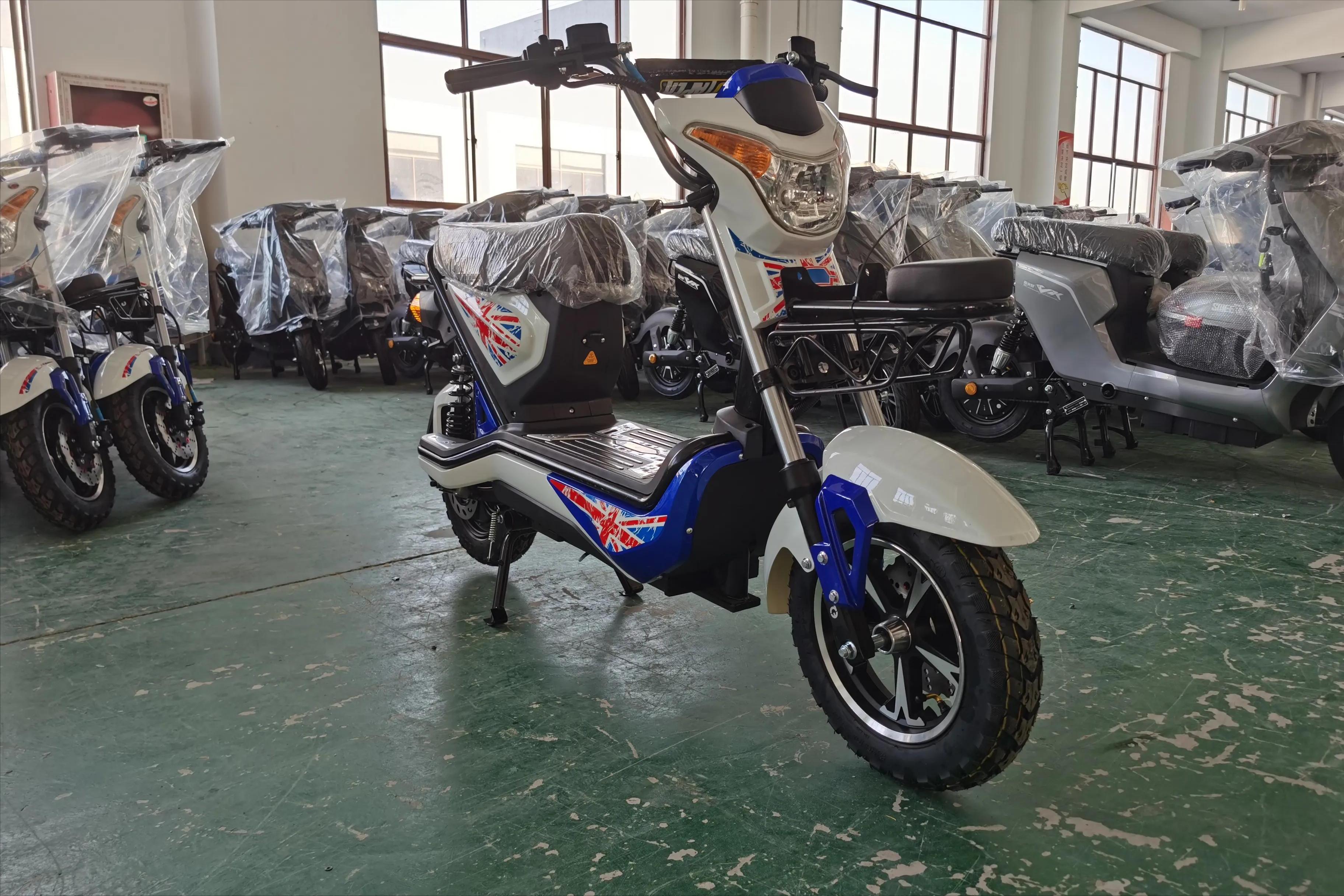 续航300公里山区爬坡王电动车,骑行电动车续航实测排行榜前十名