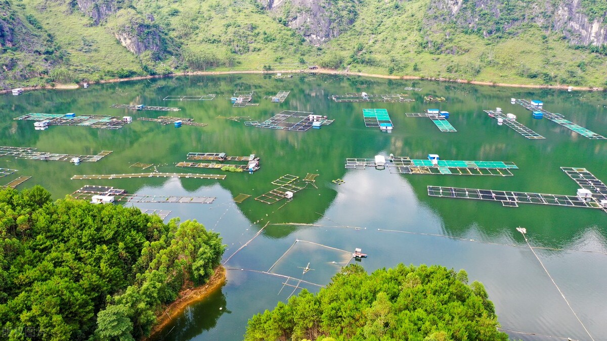 河道治理大全,国家对河道生态养殖规划