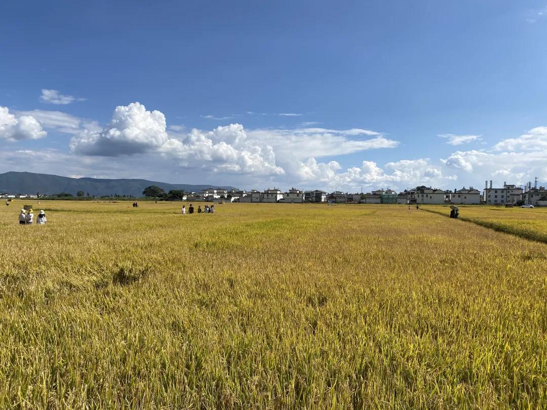 大理幼儿园环境,大理县城幼儿园