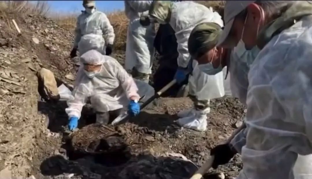 自废武功、东西分裂，乌克兰一手好牌为何打烂？