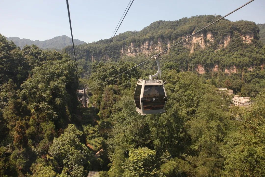 除夕盛况再现，明天去报国寺祈福啦！