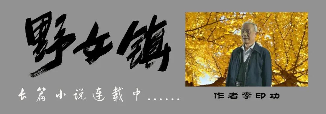 小说连载｜《野女镇》第25章：舍命之后