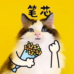 划分vlan网段互通,划分vlan最常用的方法是