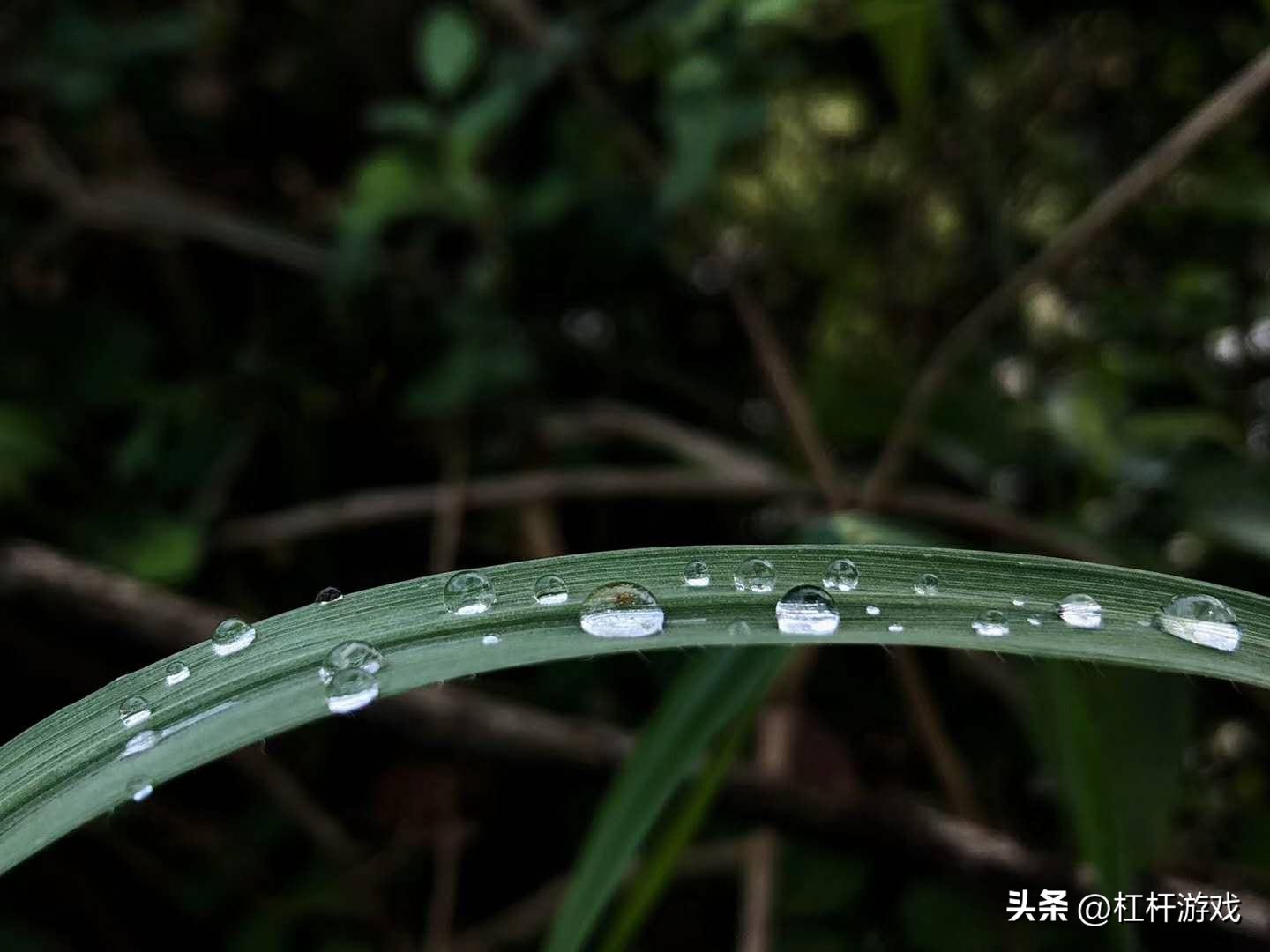 蜂巢能源大老板是魏建军吗,魏建军蜂巢能源金坛工厂