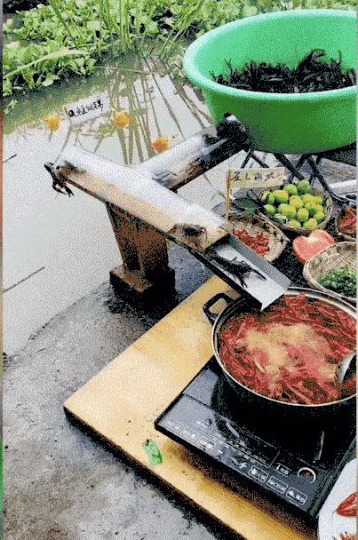 神回复：把大众车标扣下来清灰，里面藏了一个圆球，这是个啥？