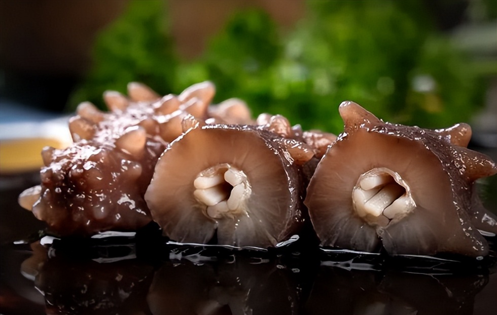 299一斤即食海参怎么样,督王府即食海参在石家庄在哪有卖