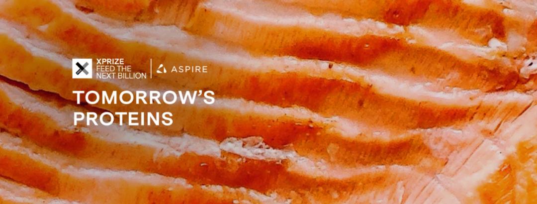 马斯克2017创业,马斯克合作中国公司