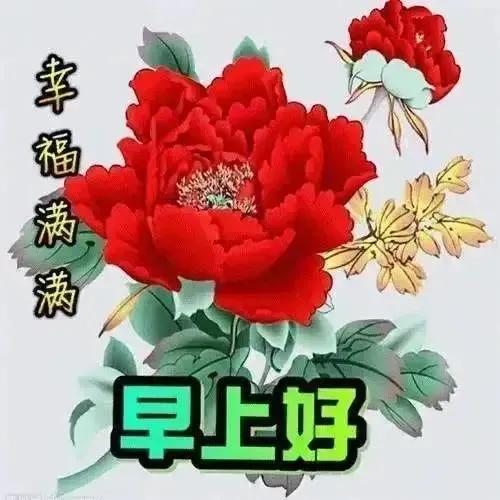 庚子日柱2023年癸卯年运势,癸卯年2023年哪个月出生最好