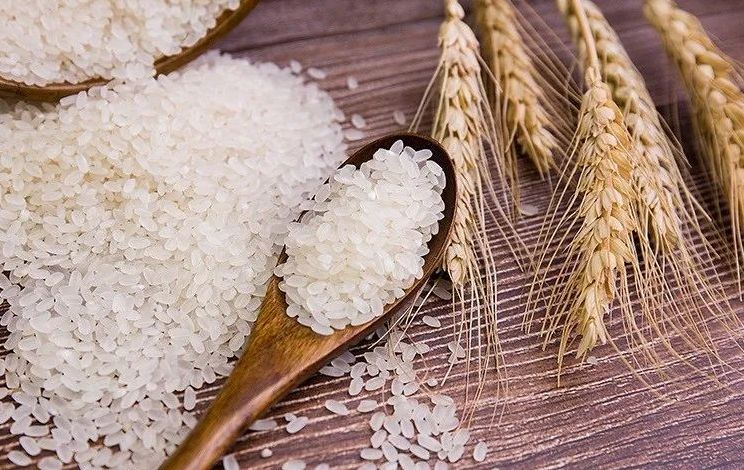 五常大米是糯性还是粘性,五常大米是粳米好吃吗