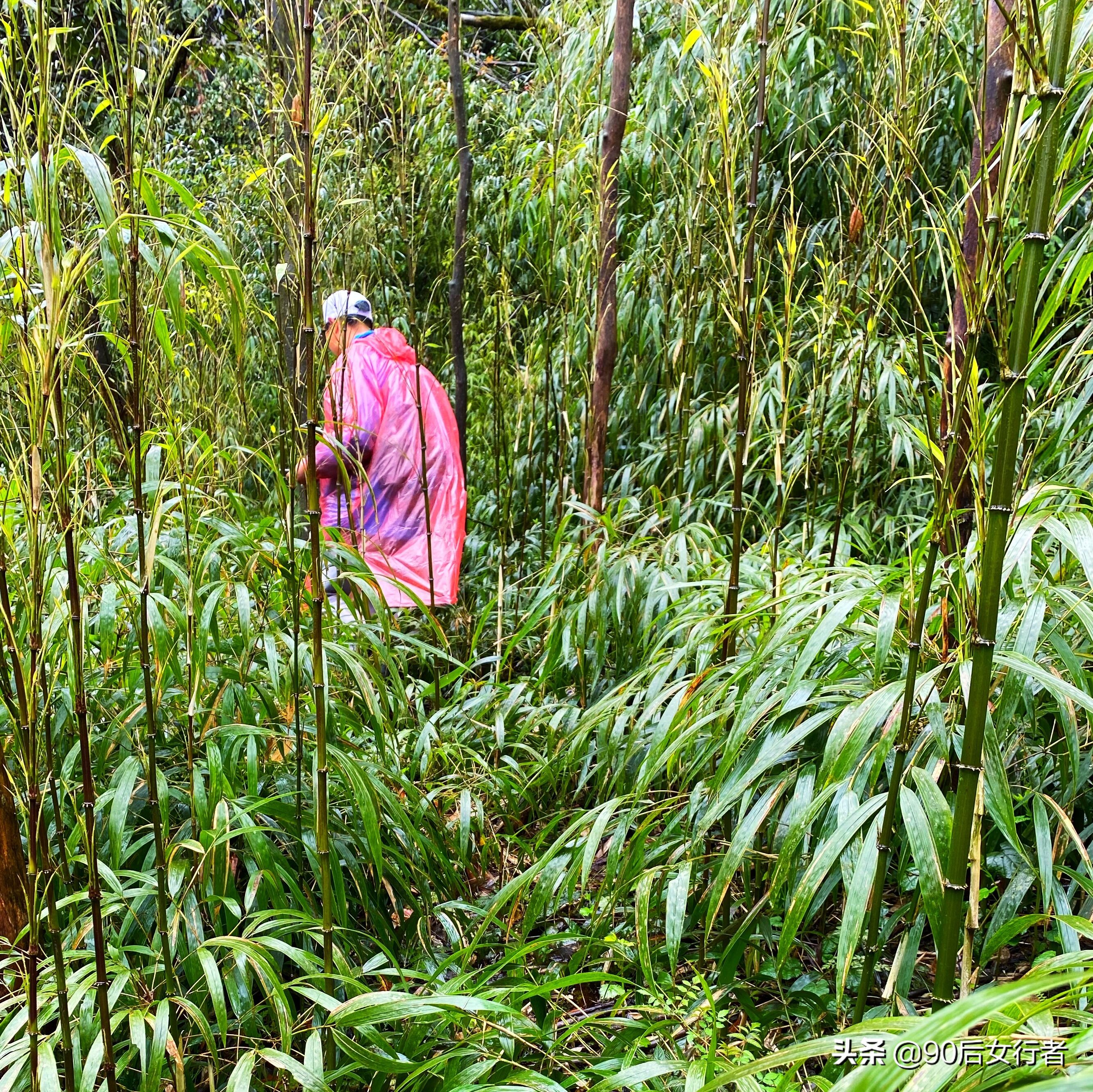 雨天徒步十里长山凹,走进大自然翻山越岭户外徒步