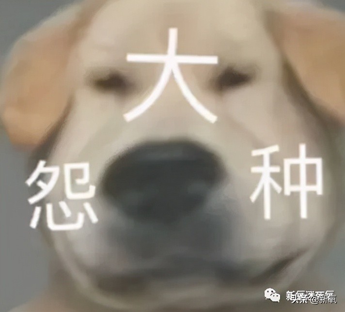 为什么整牙脸会小,为什么整牙期间脸会变老