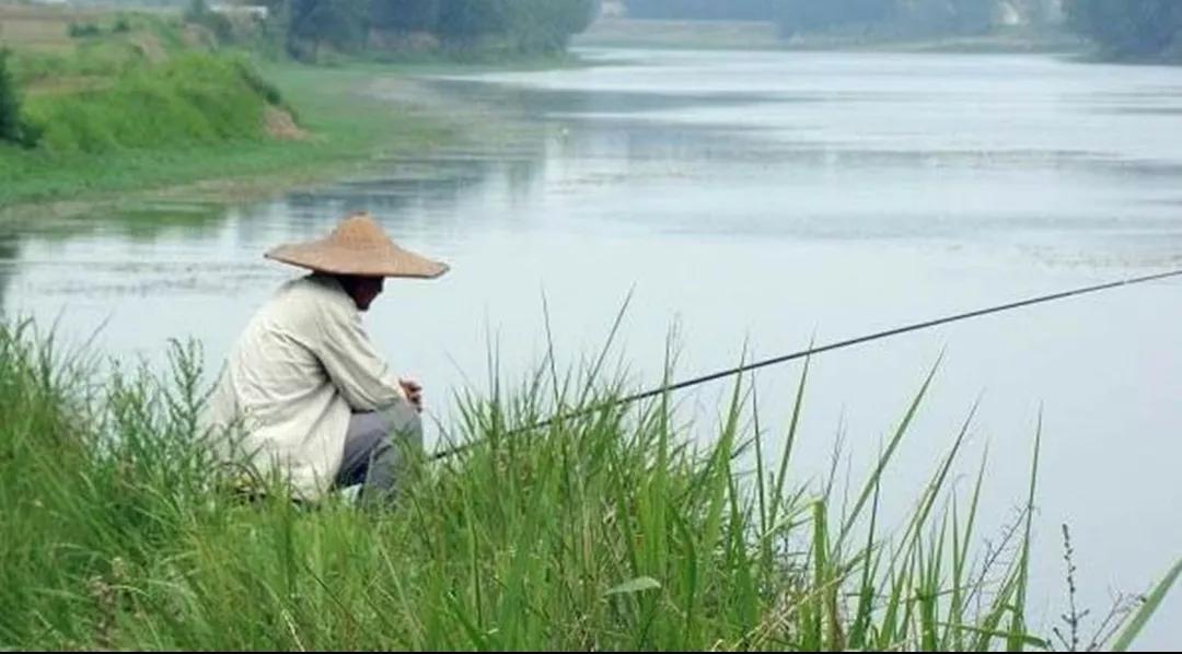 神仙难钓午时鱼是指什么鱼,神仙难钓午时鱼有什么说法