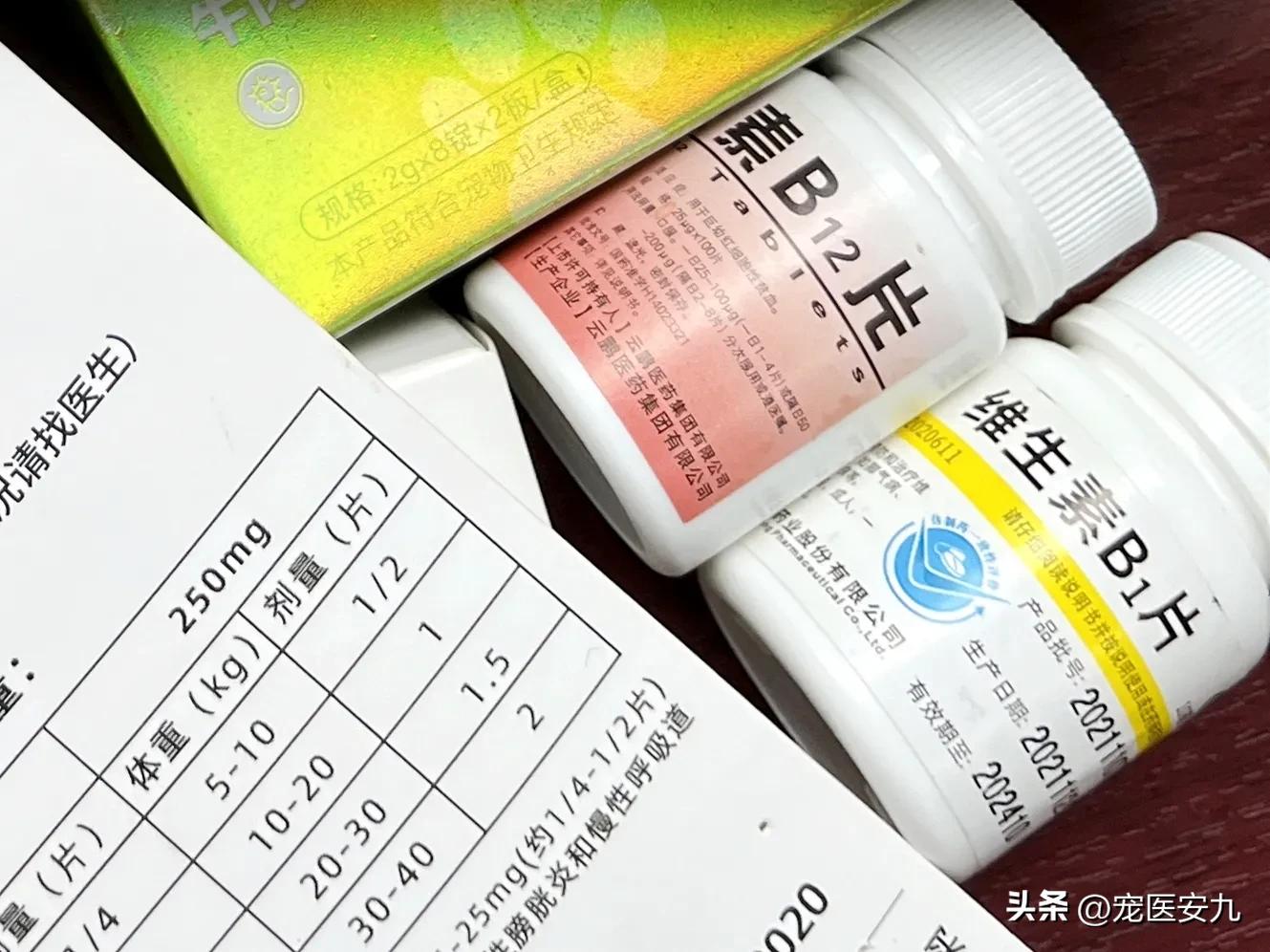 狗狗癫痫发作数次是不是安乐死,狗狗得了癫痫是不是会越来越傻