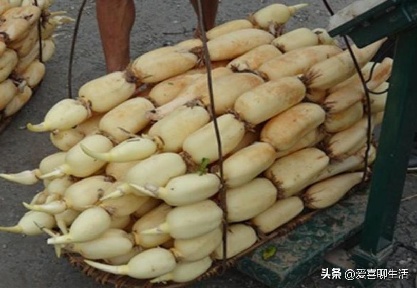 明日重阳节，不管有钱没钱，带老人出门走走，顺便品尝这5种美食