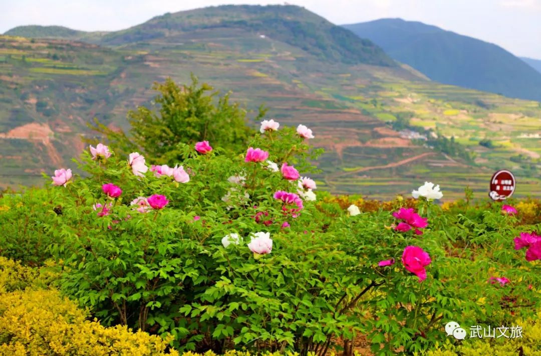中国十大魅力之城——天水欢迎您来打卡千山万水就爱天水魅力五月打卡十有武山——,四马年村