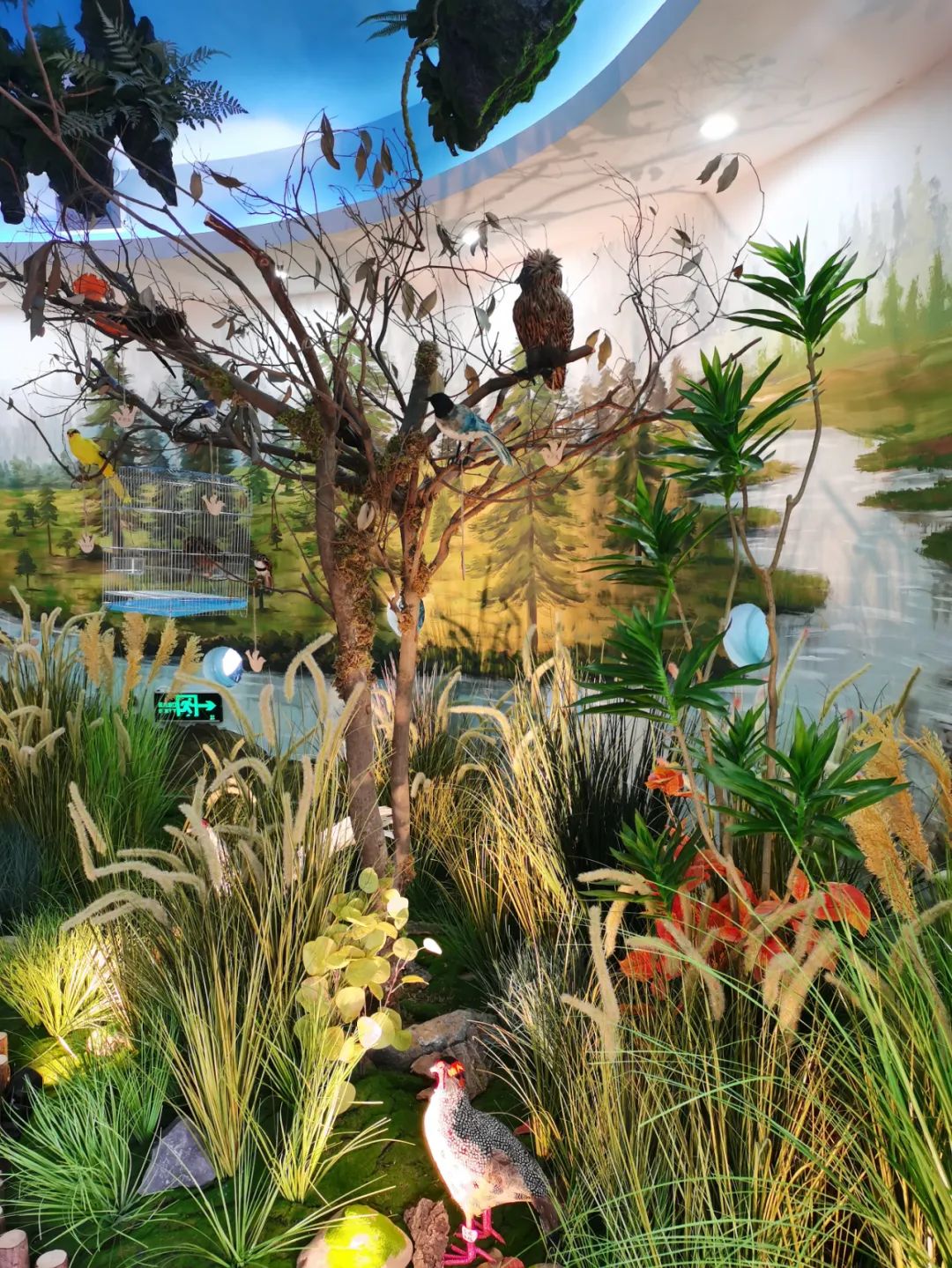 韶关适合带小朋友玩耍的地方,韶关亲子游最佳免费地方