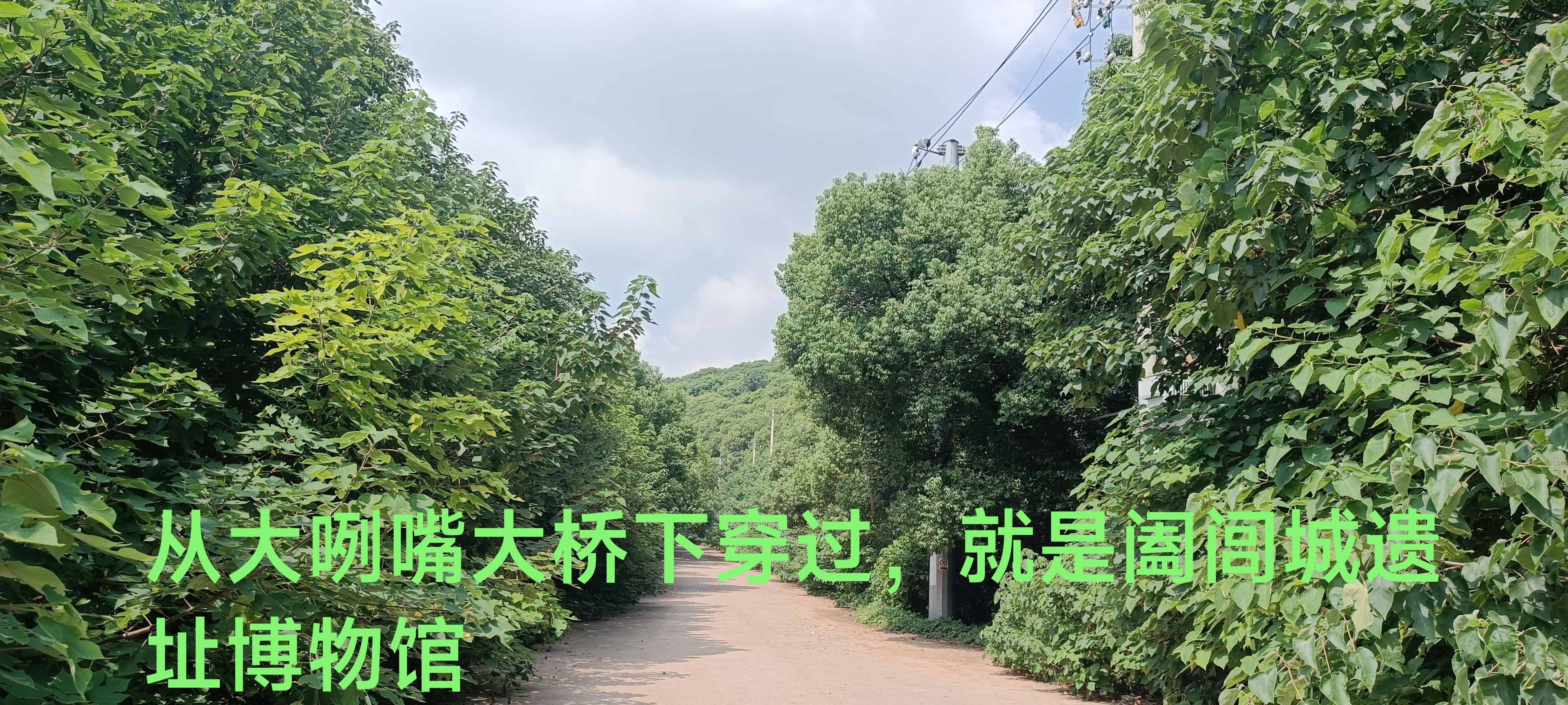 千里走铁骑价格,千里走单骑