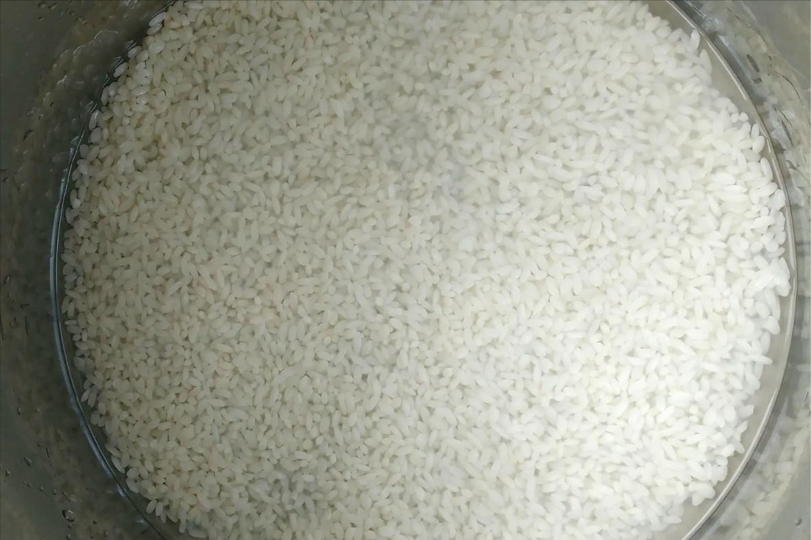 秋季山药五谷杂粮豆浆,春季适合喝的山药豆浆