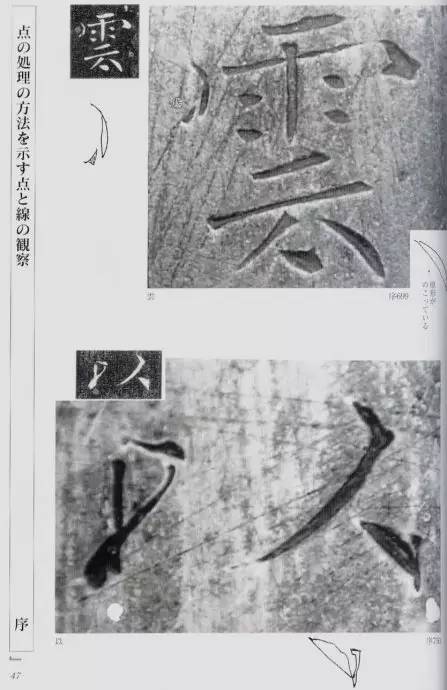 宸ョ瑪鐢绘潹鏅箟鐢诲唽,鏉滈箖鏉ㄦ櫘涔夊畬鏁寸増