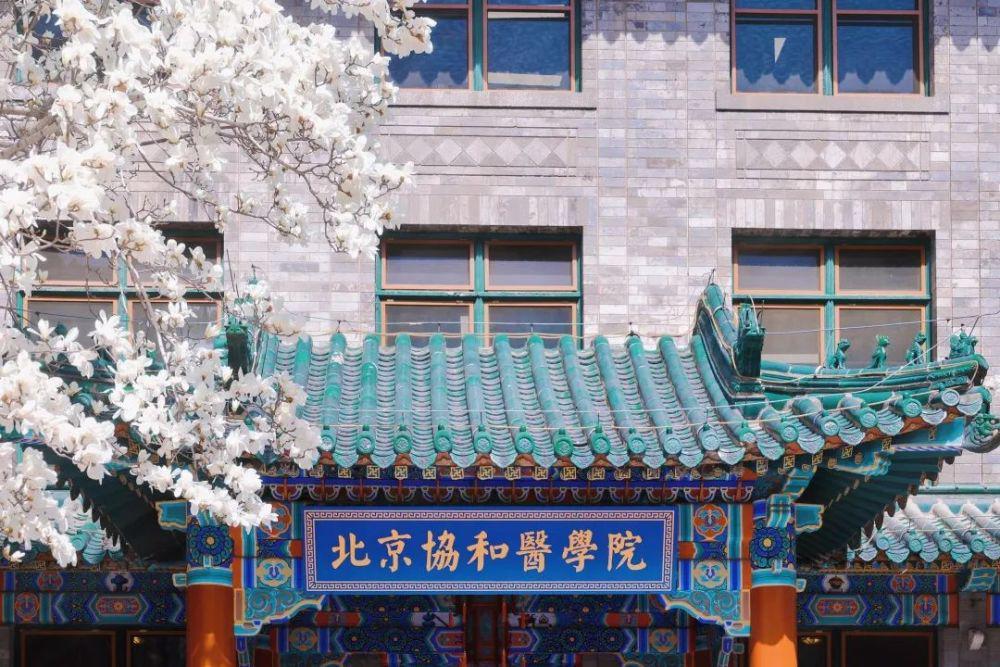 浙大医学为什么这么强,浙大临床医学强吗