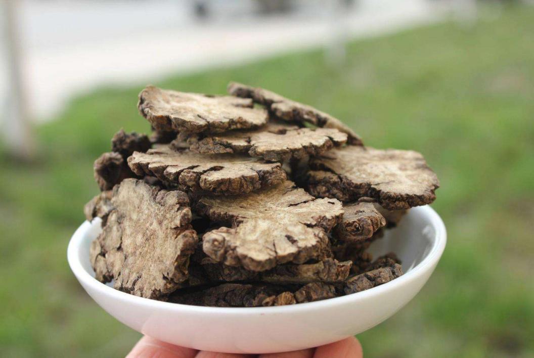 贫血又痛经怎么调理,痛经贫血食疗