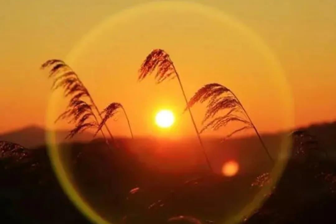 朝鲜民歌卞英花红太阳照边疆,红太阳照边疆卞英花朝鲜演出