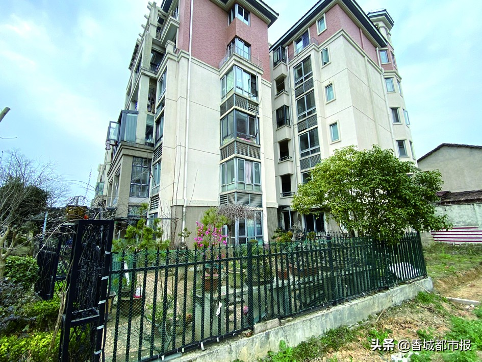 圈起来种菜,围起来栅栏种菜