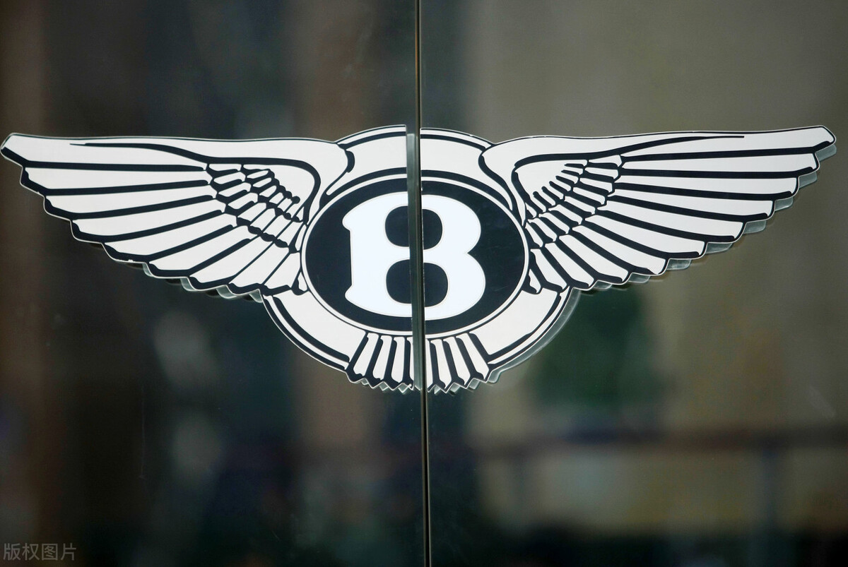 老板个人购买奢侈品入账,公司老板买奢侈品公司怎么入账