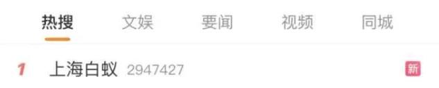 最近白蚁泛滥,上海白蚁是怎样形成的