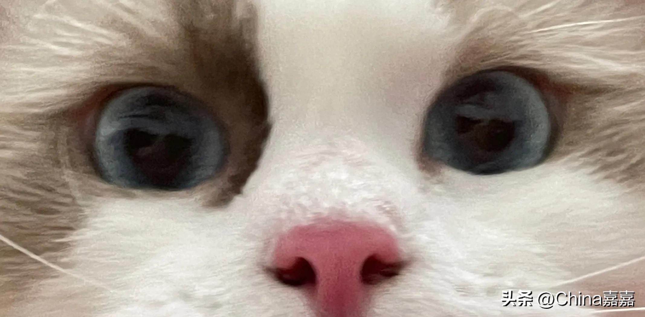 这个才能治愈你的不开心