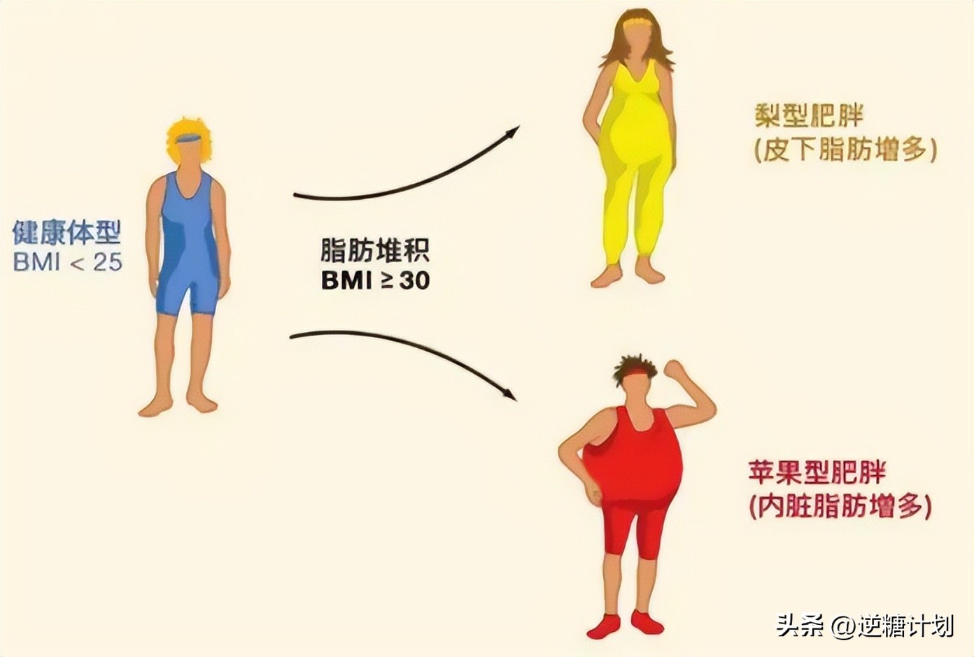 胰岛素水平过高是什么原因,胰岛素高怎么下降