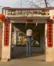 “是小蛇出了轨，还是青蛙劈了腿？”这是现实版的美杜莎？哈哈