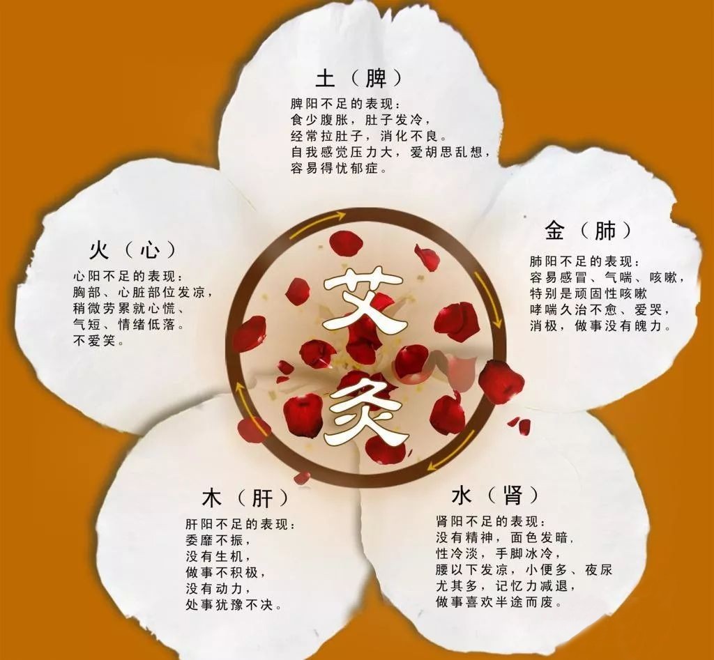 古法五行艾灸疗法,老中医谈养生秘诀图片