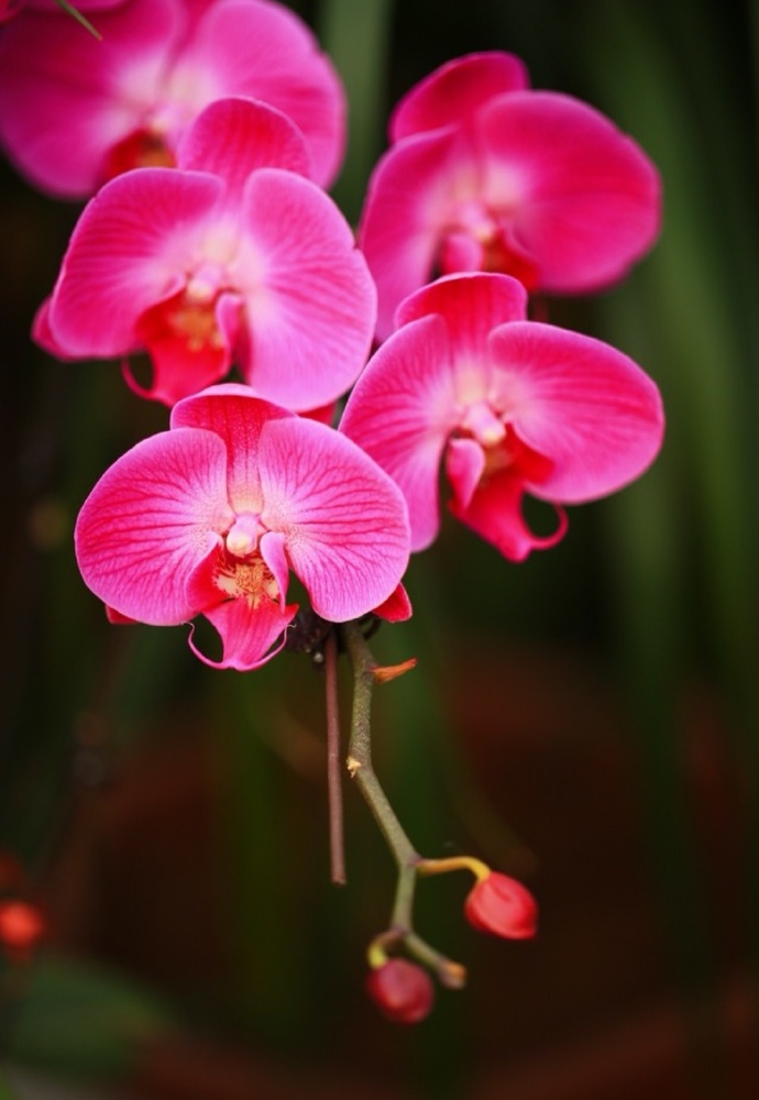 不管夫妻还是情人，若对方不联系你了，这么处理才最聪明