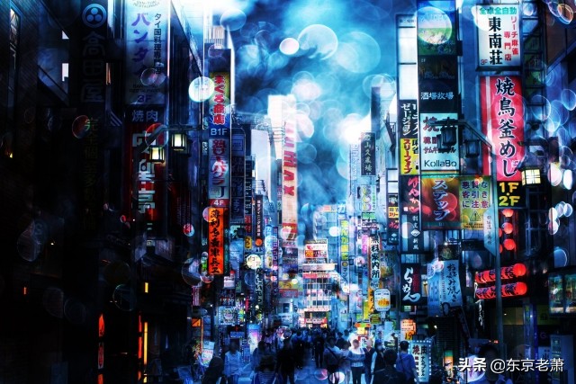 粉红沙龙适合什么地区,粉红沙龙是什么