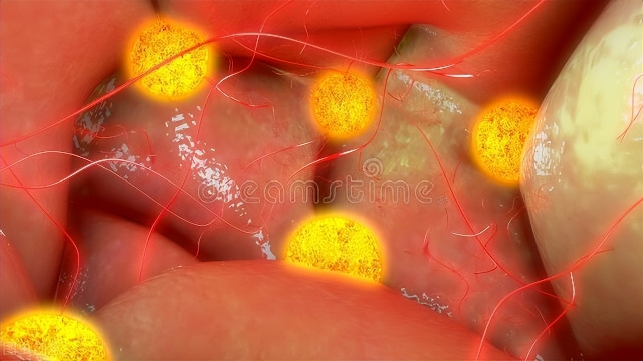 有发育卵泡是不是就能受孕,不孕不育知识讲解