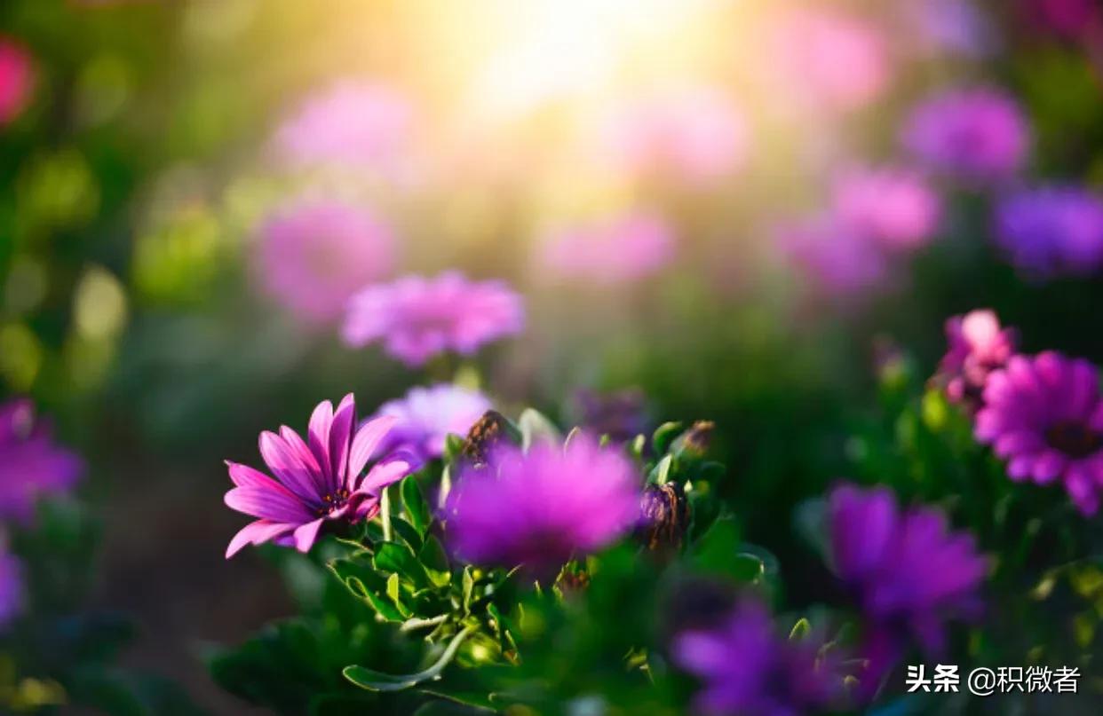 发现了完全不火的宝藏,未被发现的隐藏的宝藏