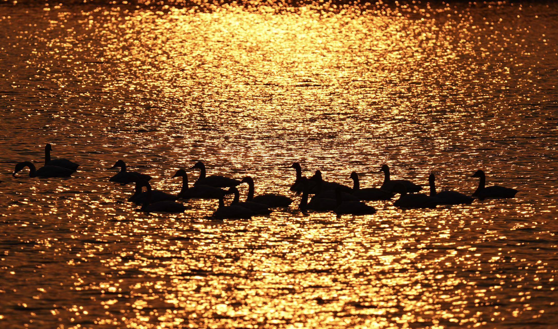 100个出自诗经楚辞的男孩名字推荐,100个出自诗经楚辞女孩名字